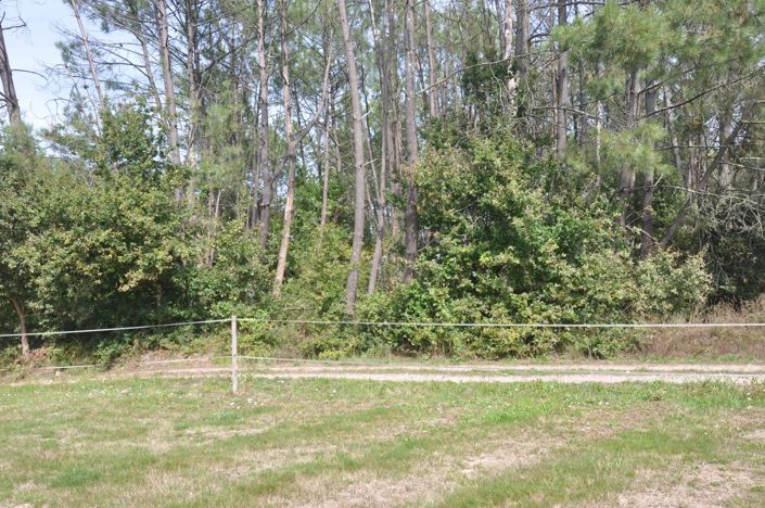 Image No.15-Maison de 3 chambres à vendre à Guîtres