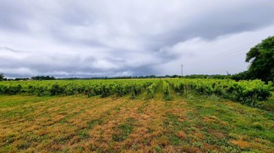 06049dc43031d2967d6cd280c38d3d0975aa9a0b1b192