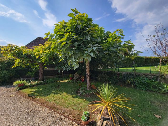 Image No.15-4 Bed House for sale