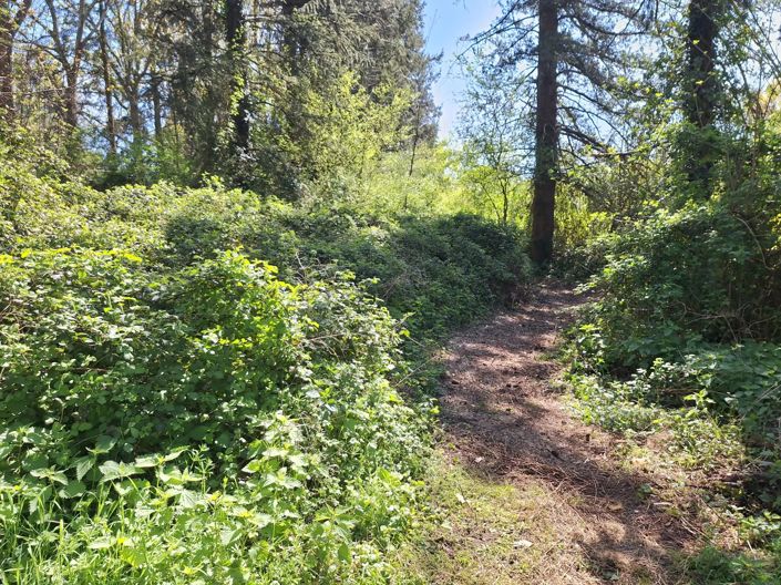 Image No.14-3 Bed House for sale