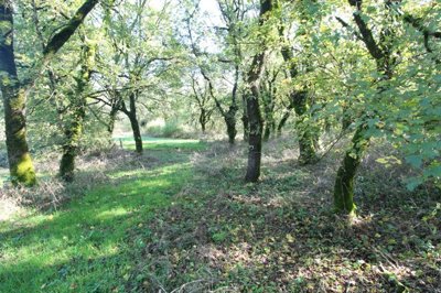 e11639f0e4c95e03b0214c6f075b78a7da36f890da192