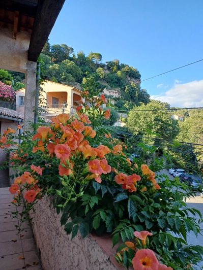 Image No.7-Maison de 3 chambres à vendre à Cotignac