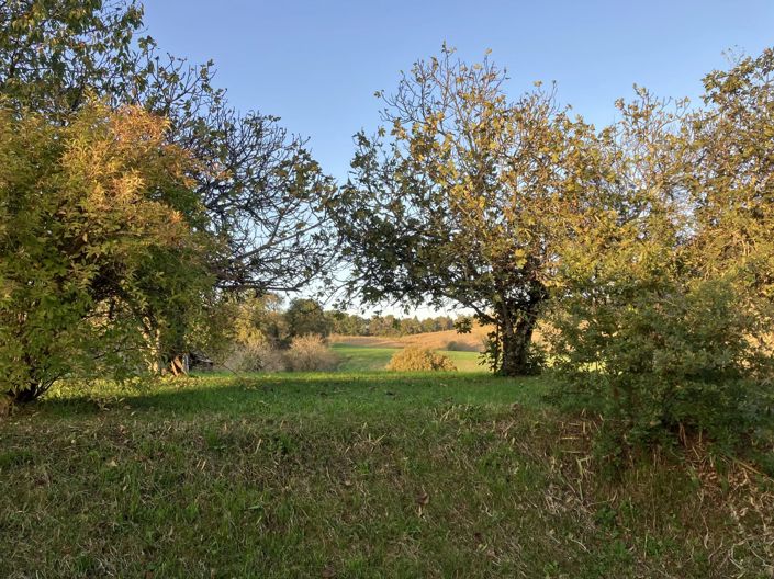 Image No.14-Maison de 3 chambres à vendre à Ribérac