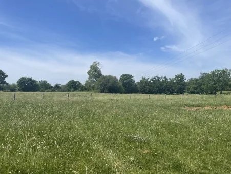 Image No.5-Propriété à vendre à Chaillac