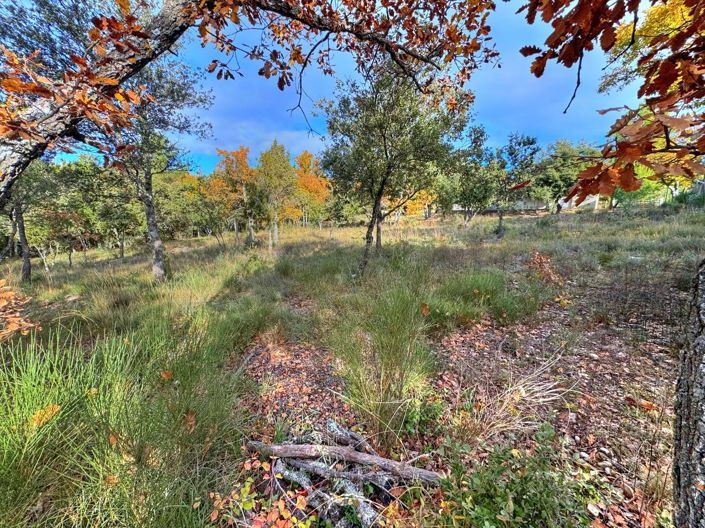 Image No.4-Property for sale