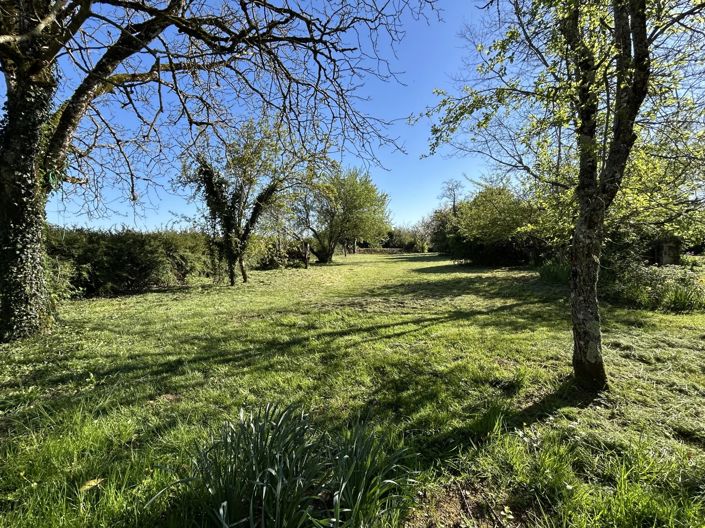 Image No.11-4 Bed Village House for sale