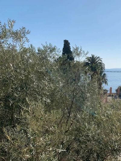 Image No.3-12 Bed House for sale