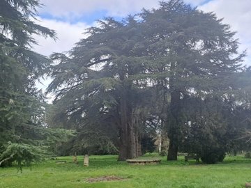 458a4bbc17a13f710571dd2abd3d912dbd43baa6a0192