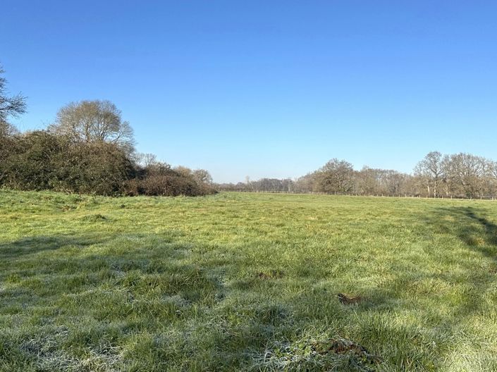 Image No.13-Maison de 10 chambres à vendre à Montpon-Menesterol