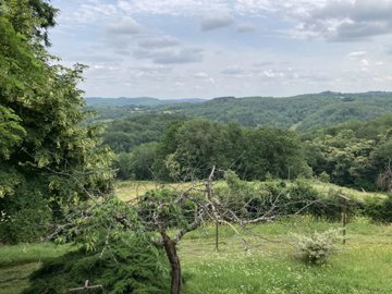 ebe0ca3f784bb8517a2b119a8ce3bf6fa59e3a8ae3192