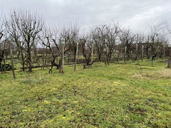 Image No.2-Maison de 3 chambres à vendre à Lathus-Saint-Rémy