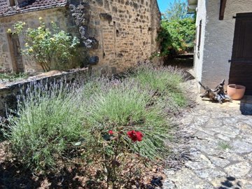 8697386c00af24c11b102482766236c11640a4df66192