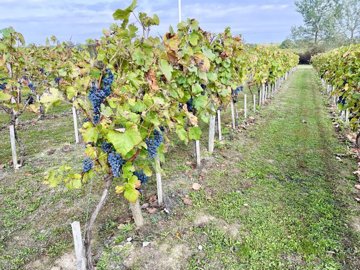 a6481285bfdd88c3dc05c14cbd14a9e502319f79ca192