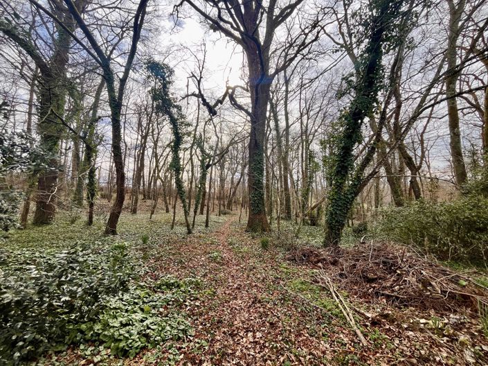 Image No.2-Maison de 3 chambres à vendre à Bergerac