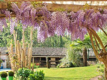 6d4c6b1b2d0e67ff0439c5f5f081412a6cc20236b2192