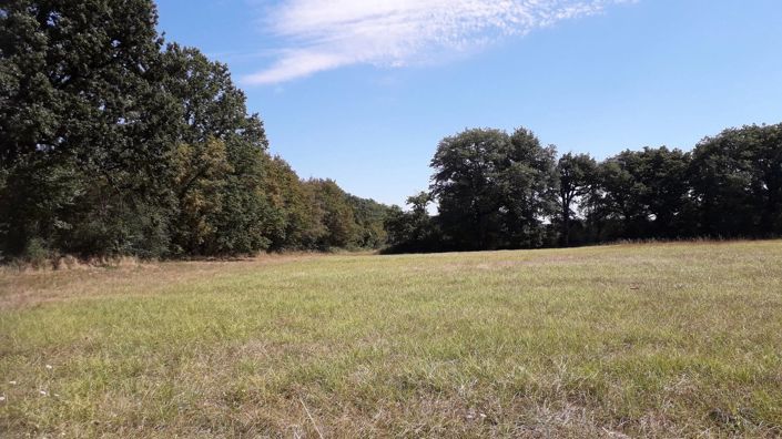 Image No.15-Ferme de 4 chambres à vendre à Ciron