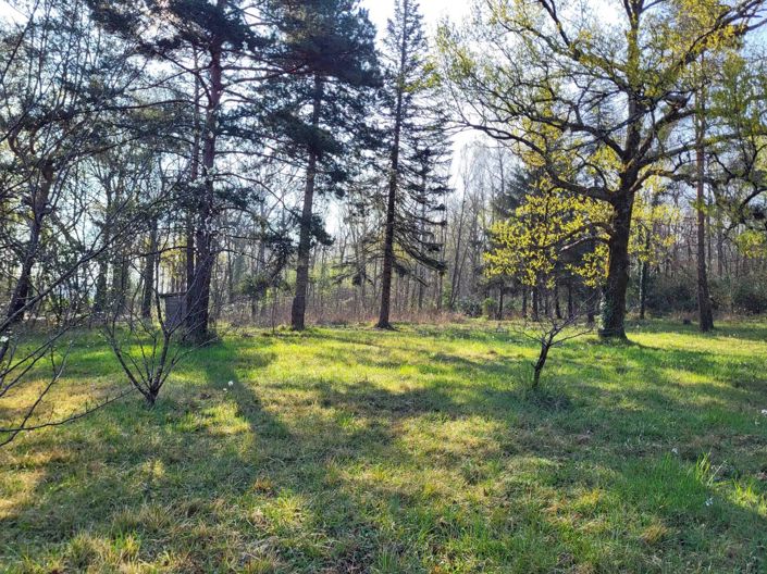 Image No.11-Maison de 6 chambres à vendre à Cognac