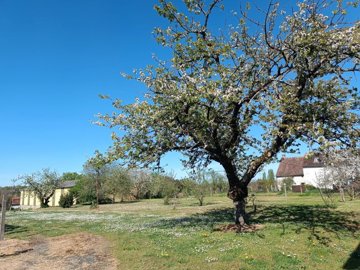 36abd3886714cfa5b029d5bdc77f6a2ae6fae722e2192