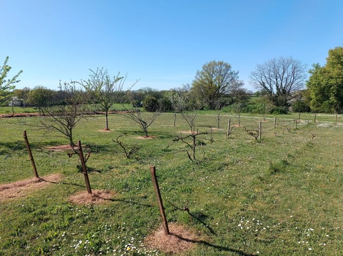 Image No.2-Maison de 4 chambres à vendre à Montmorillon