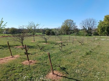 d8ec88f73414c68ee4028c72c775eedac7c7684647192