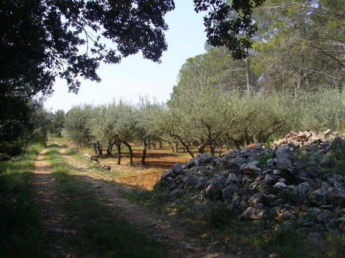 Image No.14-2 Bed House for sale