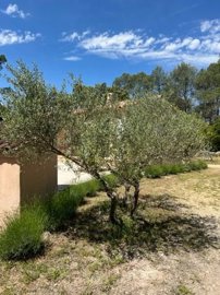 fd647ff5305353bb335e4704ed0833f7bccd75ac19640