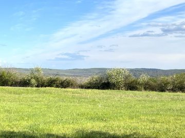 f143a296d2c7cd0d1a5312f70cce9de86766861044403