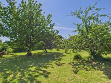 98bc1017044abc8e1492e51f210c278b74ba9ef62c192