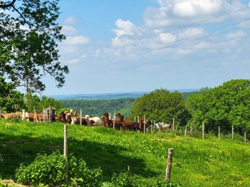 4c1dd8a06a77b69988e91150f595c4790707d071e2192