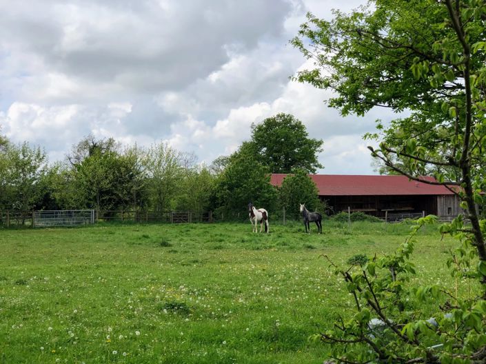 Image No.7-Maison de 3 chambres à vendre à Villemort