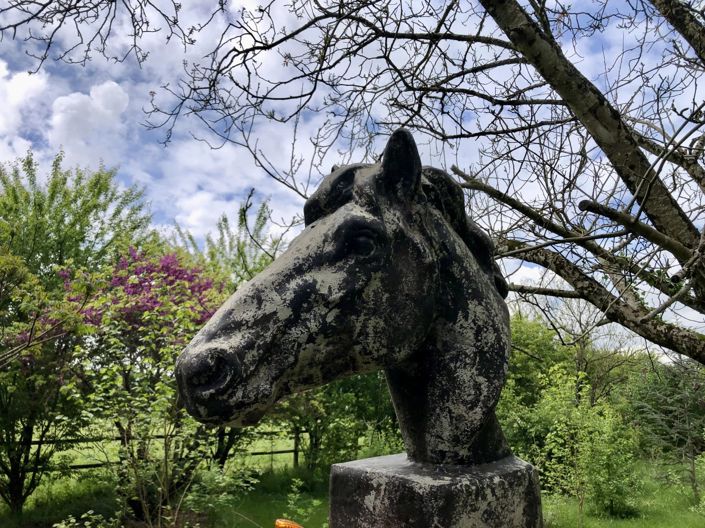 Image No.3-Maison de 3 chambres à vendre à Villemort