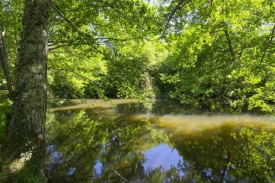 878de3ff6fdc537c6f31f7c710f57d85cb67d5e832192