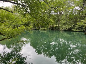 fec35a68738326439331866676e1f6af492f78d976160