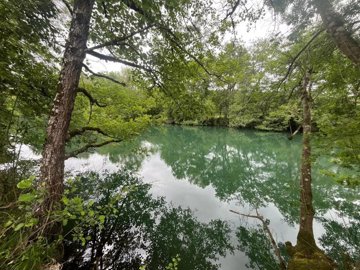 037d577fab8260f67daca5fbe21140dab628c20d46160