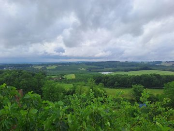 446d95a8c91aaa970a82bd7179d2b064d88cae1d55400