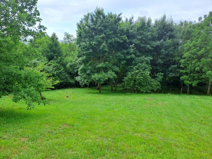 Image No.15-Maison de 3 chambres à vendre à Casteljaloux