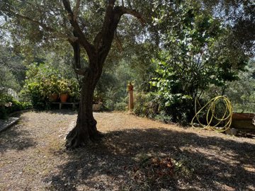 18d877be44ae5c7fd1e3b7cee541b2bcf8f09cedf3192