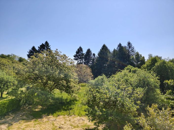 Image No.3-Maison de 6 chambres à vendre à Saint-Saud-Lacoussière