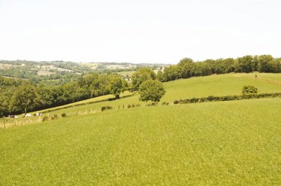 f99115378181a10651986ddc4710763c451f55d186192