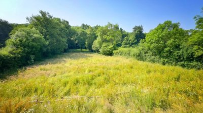 6d3c998c2b153870c35f55982985334ecf16a4981d192