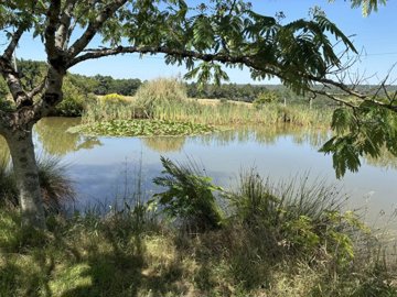 4c5968bb967f225bb0062137ed8c05075697f14bc9192