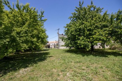 00d0442a9f69a50f945f210da668d1733193776fe6192