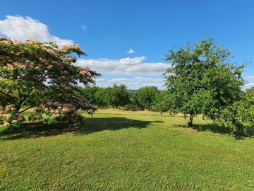 9a7a1728905ca1dd6fbaf96741bac4585790e260e0409