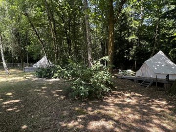 e8ede2a366aebe41eb735e55c5950e89a6ac19b998192