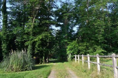 cefad743d46b9d9c3b6d20656c4cc4f89d89de1988106