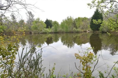 2d558ebc0738b24d931647bd010af1fb663b08b3ef106