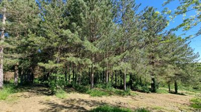 59f1491f8bd27771c0a1b294040a6651d17e1a3f14192