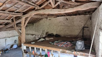 bb266f142252dc5ae8a3e67a53cea0bf52023850cc192