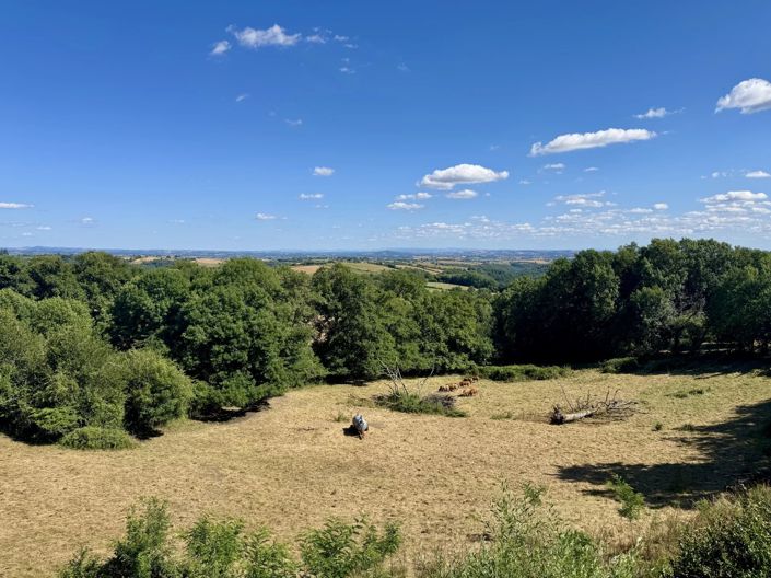 Image No.13-Maison de village de 2 chambres à vendre à Rieupeyroux