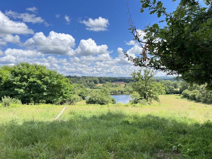 Image No.15-Maison de 9 chambres à vendre à Limoges